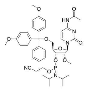 2’-OMe-C(Ac)亚磷酰胺单体