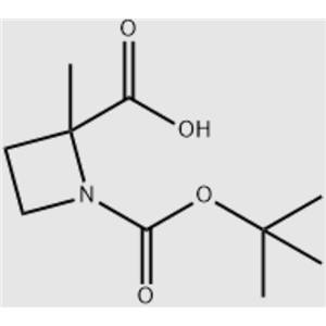 2-甲基-1,2-氮杂环丁烷二甲酸 1-叔丁酯