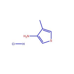 4-甲基噻吩-3-胺盐酸,4-methylthiophen-3-amine hydrochloride