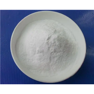 1-氨基茚满盐酸盐,1-Aminoindan Hydrochloride