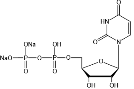 二磷酸尿苷二鈉；尿苷-5′-二磷酸二鈉鹽,Uridine 5’-diphosphate disodium salt