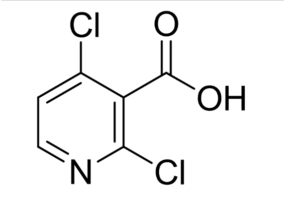 2，4-二氯烟酸,2,4-Dichloropyridine-3-carboxylic acid