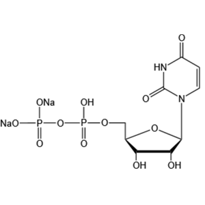 二磷酸尿苷二钠；尿苷-5′-二磷酸二钠盐,Uridine 5’-diphosphate disodium salt
