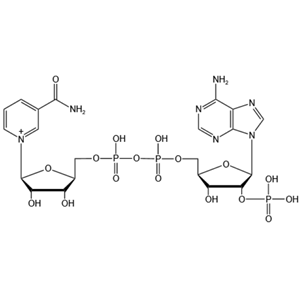 烟酰胺腺嘌呤双核苷酸磷酸盐 53-59-8