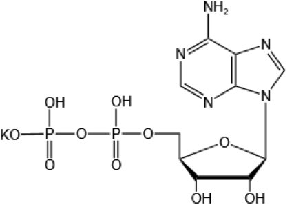 二磷酸腺苷一钾；二磷酸腺苷钾盐,ADP-K;Adenosine 5’-diphosphate monopotassium salt