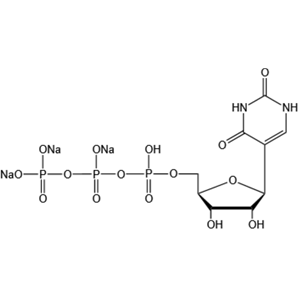 假尿苷三磷酸,Pseudouridine 5’-Triphosphate