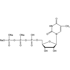 2′-脱氧胸苷-5′-三磷酸三钠盐; 胸腺嘧啶核苷5′-三磷酸钠盐,dTTP-Na3;2