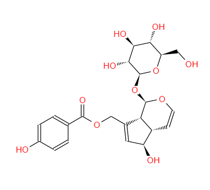 牡荆油,Vitex Oil