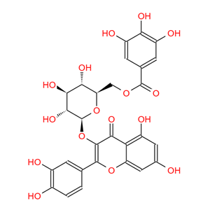 槲皮素-3-O-(6''-没食子酰基)-β-D-葡萄糖苷，56316-75-7，Quercetin-3-O-(6''-galloyl)-β-D-glucoside