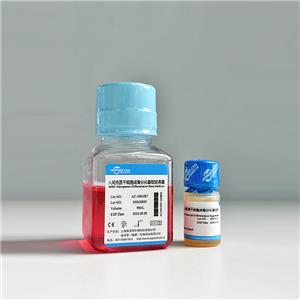 人间充质干细胞成骨分化试剂盒,hMSC Osteogenesis Differentiation Kit