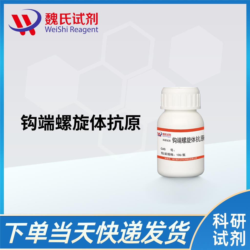 钩端螺旋体抗原,Leptospira antigen