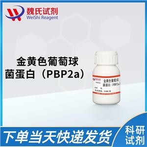 金黄色葡萄球菌蛋白（PBP2a）