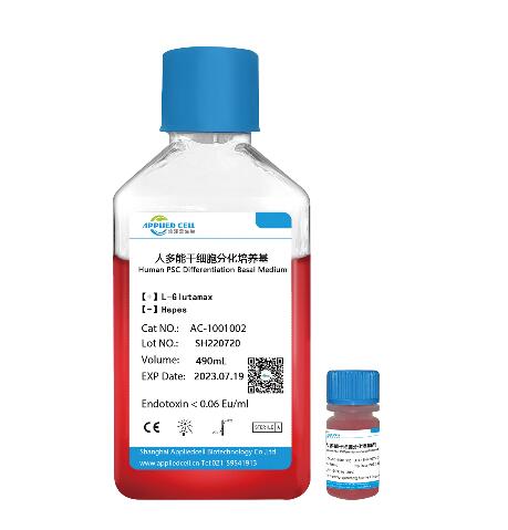 人多能干细胞分化培养基,Human PSC Differentiation Medium