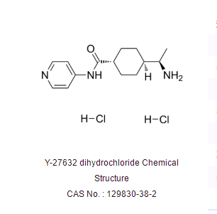 Y-27632 dihydrochloride