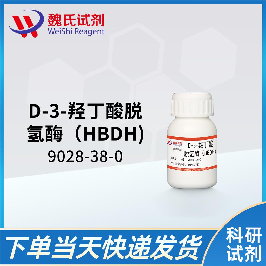 D-3-羟丁酸脱氢酶（HBDH),D-3-HYDROXYBUTYRATE DEHYDROGENASE