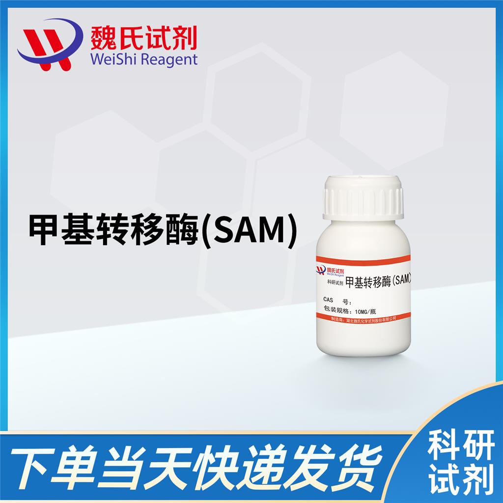 甲基转移酶(SAM),Methyltransferase