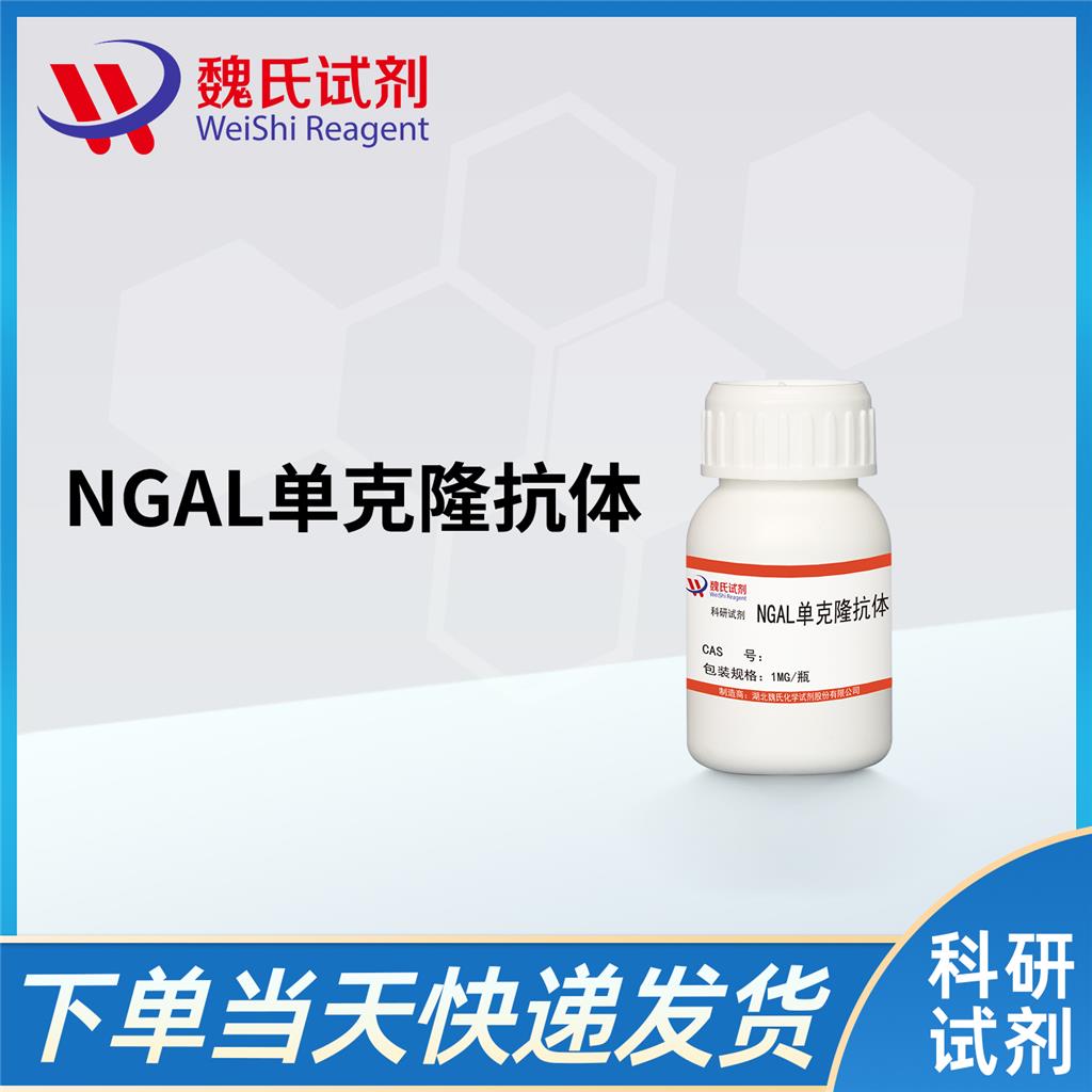 NGAL单克隆抗体,Monoclonal antibody of Human Lipocalin-2/NGAL