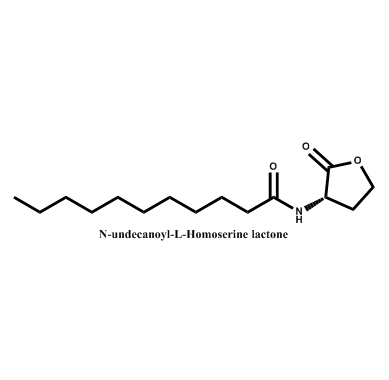 N-十一烷酰基-L-高丝氨酸内酯,N-undecanoyl-L-Homoserine lactone