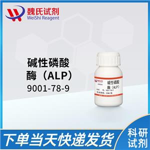 碱性磷酸酶（ALP）,Phosphatase, Alkaline (ALP)