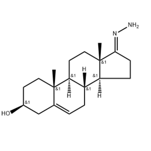 雄酮腙,Androstenone hydrazone