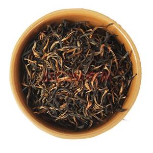 红茶提取物,Camelia sinensis L