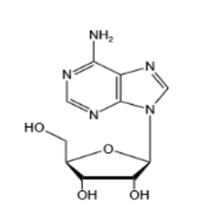 腺苷-杭州美亞藥業(yè)-58-61-7