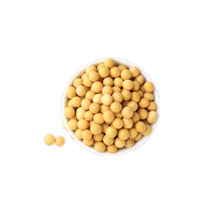 大豆低聚肽粉