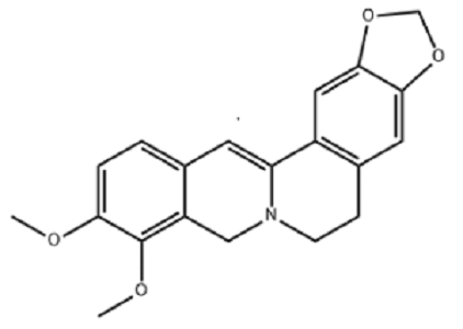 二氫小檗堿,Dihydroberberine