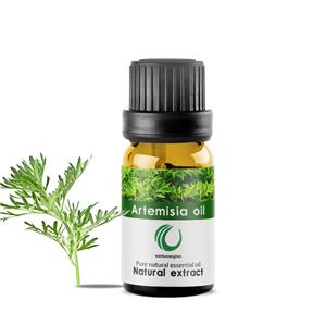 青蒿油,Artemisia annua essential oil