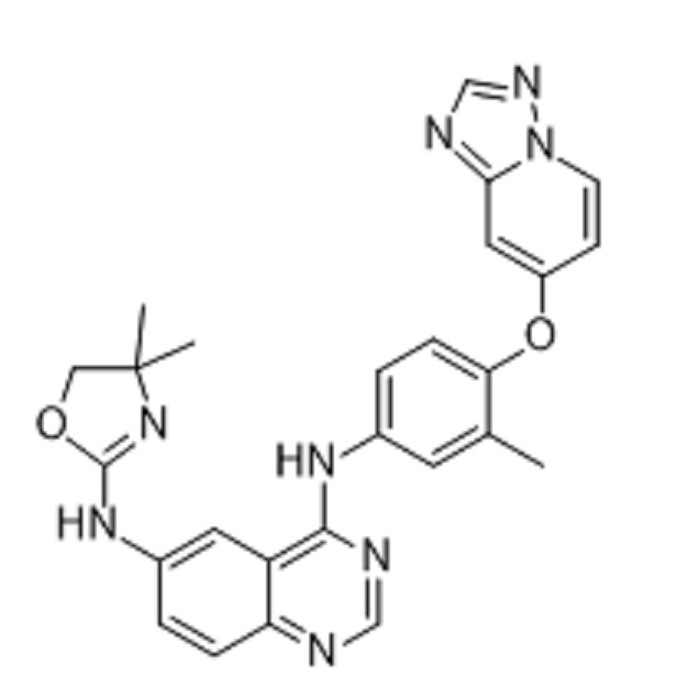 Tucatinib,Irbinitinib; ARRY-380; ONT-380