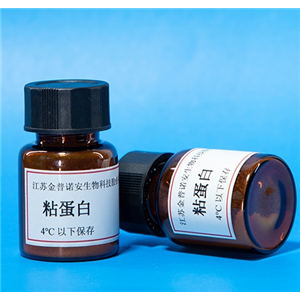 贻贝粘蛋白(Mussel Adhesive Proteins)