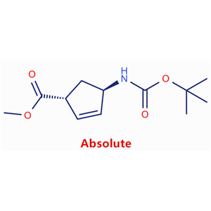 (1R,4R)-4-((叔丁氧基羰基)氨基)环戊-2-烯-1-羧酸甲酯