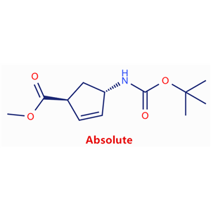 (1S,4S)-4-((叔丁氧基羰基)氨基)环戊-2-烯-1-羧酸甲酯