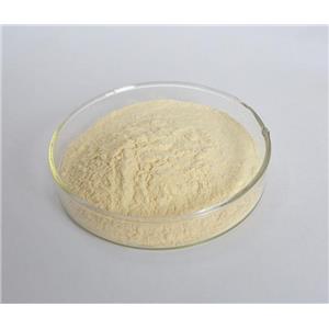 盐酸土霉素   2058-46-0   95%