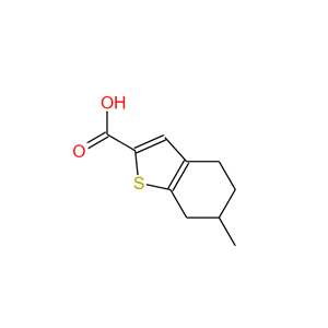 6-甲基-4,5,6,7-四氢苯并[B]噻吩-2-羧酸