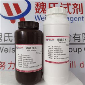 喷昔洛韦,Penciclovir