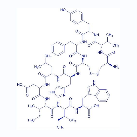 内皮素-1(11-21),Endothelin-1 (11-21)