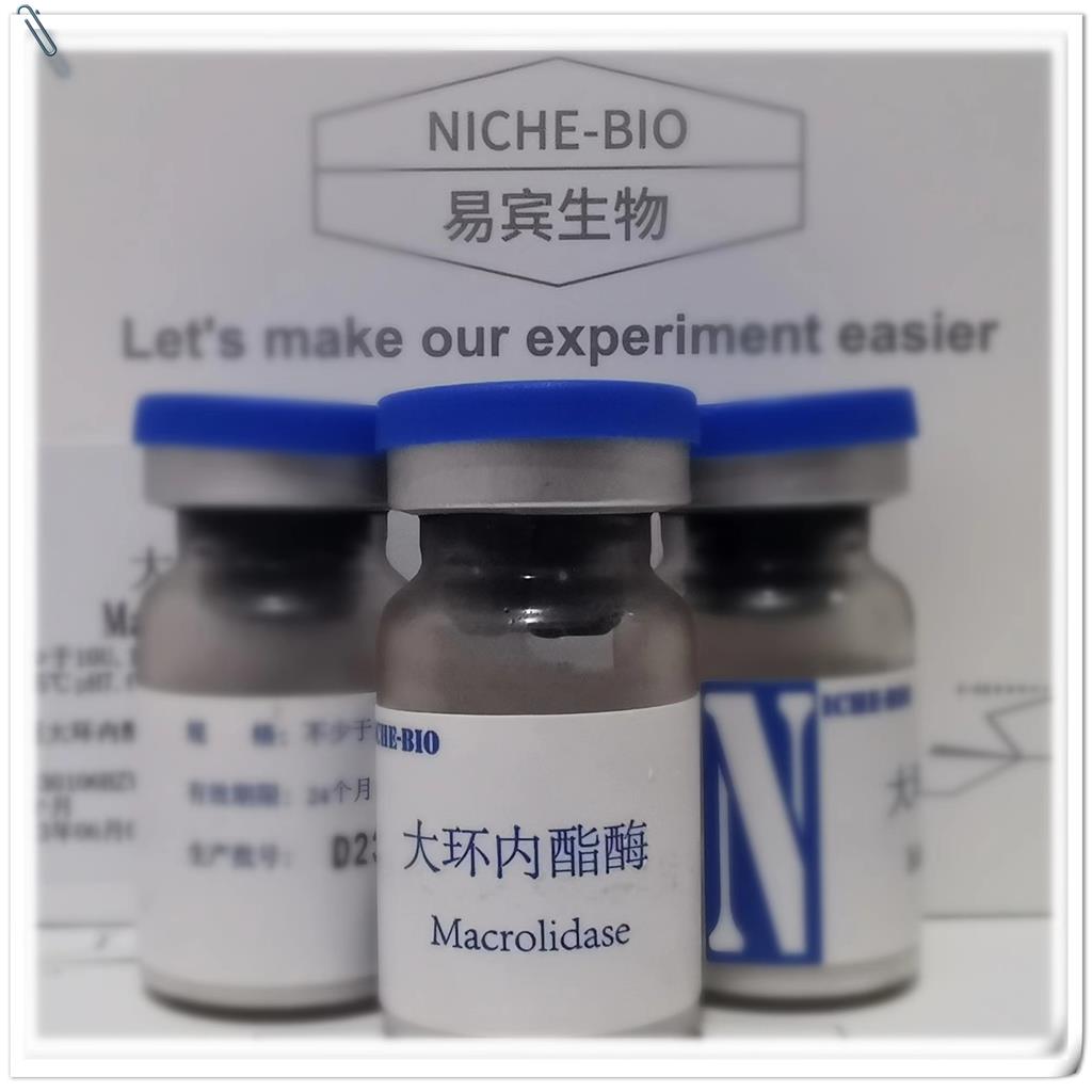 大環(huán)內(nèi)酯酶,Macrolidase(Macrolide Enzyme)