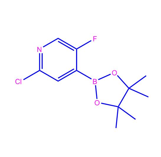 2-氯-5-氟-4-(4,4,5,5-四甲基-1,3,2-二氧杂硼烷-2-基)吡啶,2-Chloro-5-fluoro-4-(4,4,5,5-tetramethyl-1,3,2-dioxaborolan-2-yl)pyridine