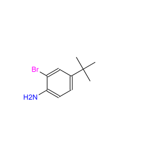 2-溴-4-叔丁基苯胺,2-Bromo-4-tert-butylaniline