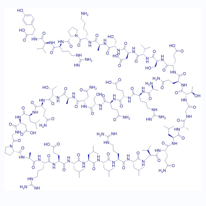 筛选肽Copeptin(大鼠),Copeptin (rat)