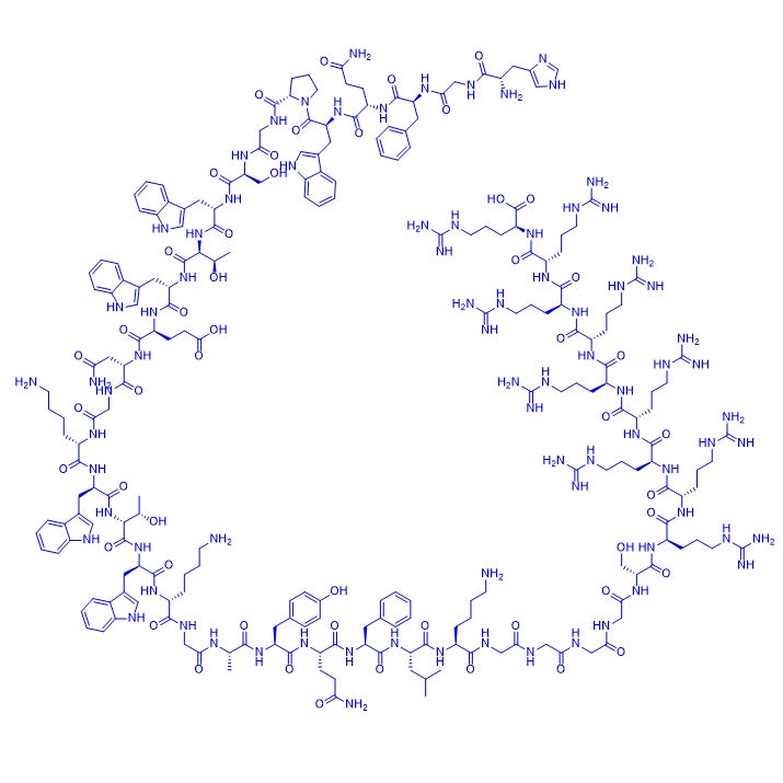 結(jié)合肽APTSTAT3-9R,APTSTAT3-9R