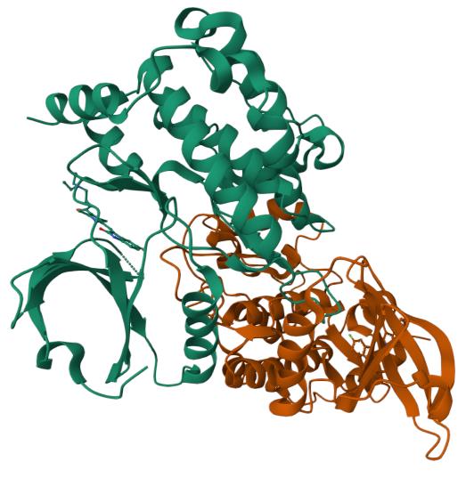 人 HPK1(S171A)蛋白, Tag free,HPK1(S171A)