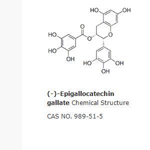 (-)-Epigallocatechin gallate