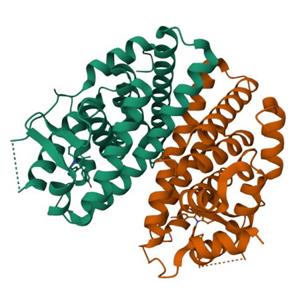 人 ESR1(C381S C417S C530S) 蛋白, N-His Tag, 雌激素受体