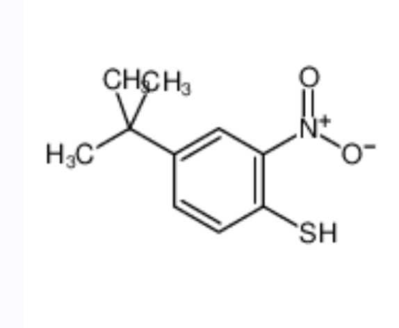 4-叔丁基-2-硝基苯硫酚,4-TERT-BUTYL-2-NITROBENZENETHIOL