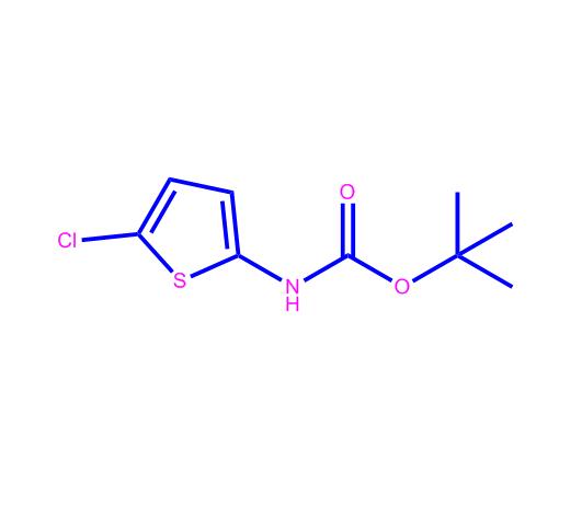 (5-氯-2-噻吩)氨基甲酸叔丁酯,tert-Butyl(5-chlorothiophen-2-yl)carbamate