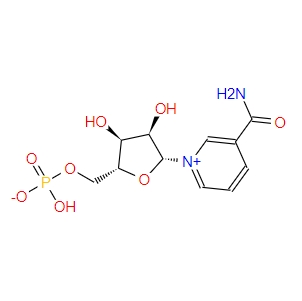 β-烟酰胺单核苷酸,NMN