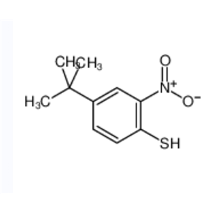 4-叔丁基-2-硝基苯硫酚,4-TERT-BUTYL-2-NITROBENZENETHIOL