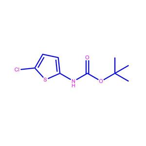 (5-氯-2-噻吩)氨基甲酸叔丁酯63806-71-3